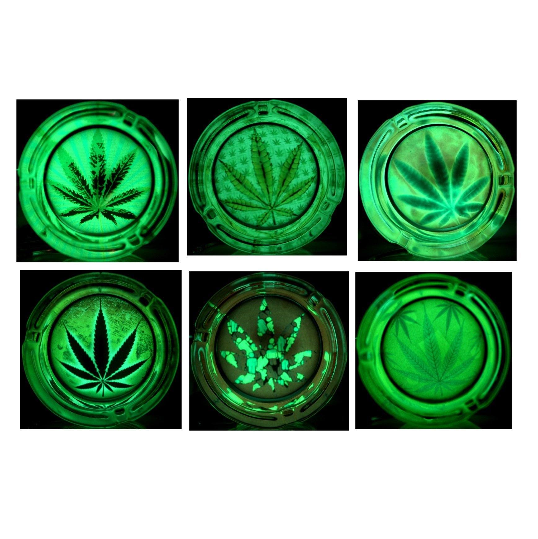 3.3" Glow In The Dark Glass Fashion Ashtray - #2 - (6 Count Display) Flower Power Packages 