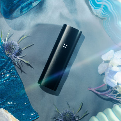 PAX 3 All Colors Available Flower Power Packages Full Kit Onyx 