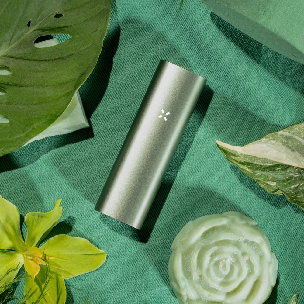 PAX 3 All Colors Available Flower Power Packages Full Kit Sage 