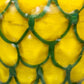 closeup of glass pineapple texture at Flower Power Packages